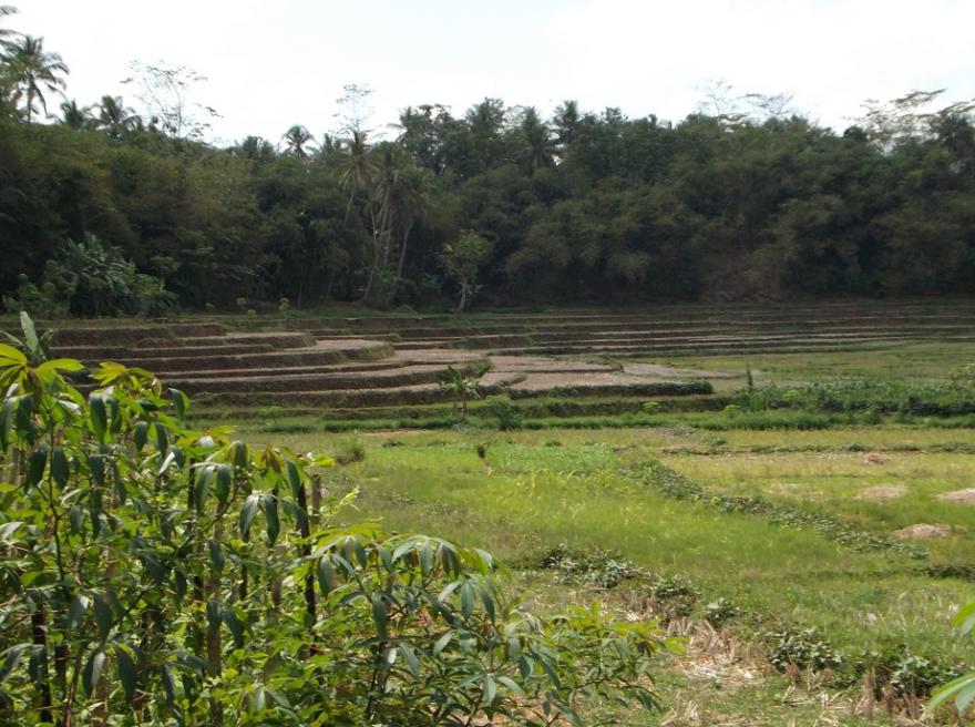 Desa Badamita